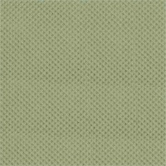 Disposable Privacy Curtain, Olive Green